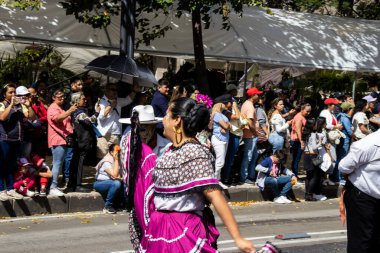 Mexico City, Meksika - 19 Ekim 2024 Mexico City 'deki Reforma Caddesi' nde Alebrijes adında renkli hayali yaratıkların geleneksel geçit töreni.