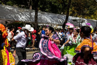 Mexico City, Meksika - 19 Ekim 2024 Mexico City 'deki Reforma Caddesi' nde Alebrijes adında renkli hayali yaratıkların geleneksel geçit töreni.