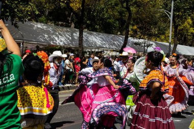 Mexico City, Meksika - 19 Ekim 2024 Mexico City 'deki Reforma Caddesi' nde Alebrijes adında renkli hayali yaratıkların geleneksel geçit töreni.