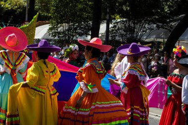 Mexico City, Meksika - 19 Ekim 2024 Mexico City 'deki Reforma Caddesi' nde Alebrijes adında renkli hayali yaratıkların geleneksel geçit töreni.