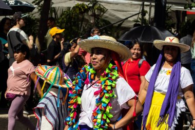Mexico City, Meksika - 19 Ekim 2024 Mexico City 'deki Reforma Caddesi' nde Alebrijes adında renkli hayali yaratıkların geleneksel geçit töreni.
