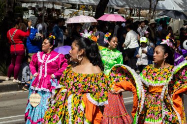 Mexico City, Meksika - 19 Ekim 2024 Mexico City 'deki Reforma Caddesi' nde Alebrijes adında renkli hayali yaratıkların geleneksel geçit töreni.