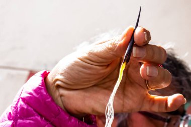 Dikiş iğnesi olarak kullanılan agave yapraklarının keskin omurgası. Turist rehberi, antik kültürler için agave bitkisinin önemini Teotihuacan arkeoloji sahasındaki bir grup turist için gösteriyor..