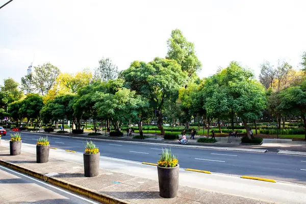 Mexico City, Mexico - 23 Ekim 2024: Mexico City şehir merkezindeki modern binaların manzarası.