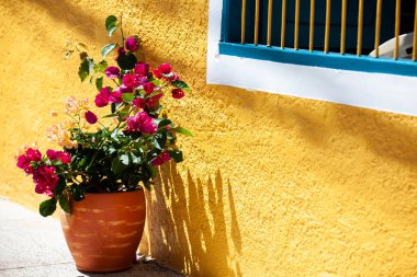 Jerico 'nun güzel caddeleri Kolombiya' daki Antioquia Bölümü 'nde yer almaktadır..