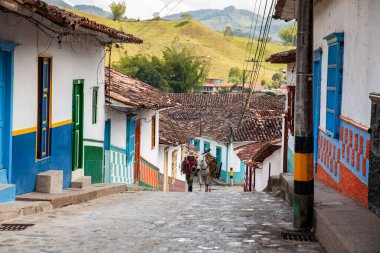 Concepcion, Kolombiya - 20 Ocak 2024. Geleneksel adı arriero olan Antioquia bölgesinden bir köylü adam ve onun çalışan atı Concepcion kasabasının sokaklarında yürüyor..