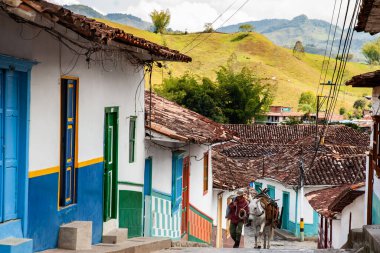 Concepcion, Kolombiya - 20 Ocak 2024. Geleneksel adı arriero olan Antioquia bölgesinden bir köylü adam ve onun çalışan atı Concepcion kasabasının sokaklarında yürüyor..