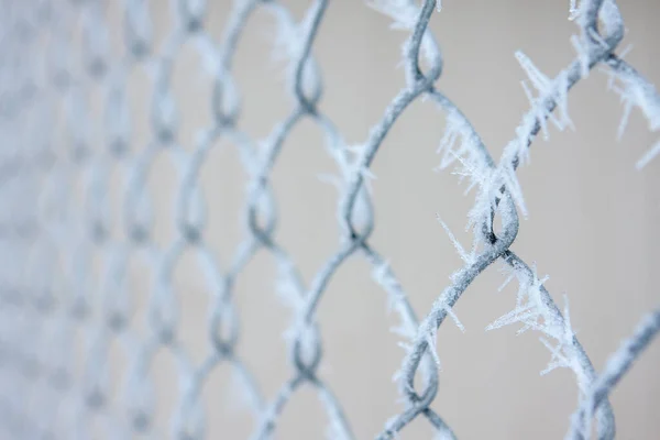 cold blueish chain link fence with frost close up