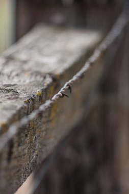 Kırsal, eski dikenli teller Eski bir çite yakın