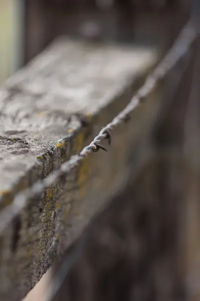 Kırsal, eski dikenli teller Eski bir çite yakın