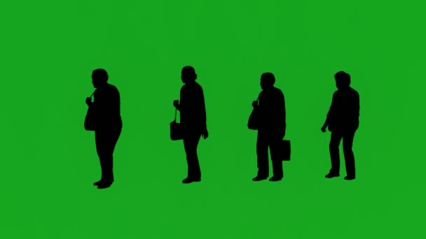 Силуэты Четырех Разных Пожилых Женщин Зеленом Экране Покупающих Магазине — стоковое видео