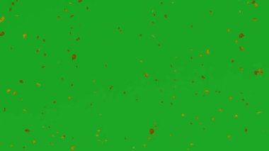 3D animasyon orman ağacı yeşil ekran bırakıyor rüzgar çok yüksek kalitede Chromakey 4K görüntüleme efektleri