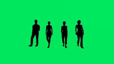 3D birkaç erkek ve kadın muhasebeci ofisi yeşil ekran arkaplan ve siluet ve izole edilmiş ve çeşitli açılarda yürüyen Chroma 4K