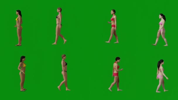 Varias Estudiantes Femeninas Diferentes Bikinis Pantalla Verde Fondo Pie Mirando — Vídeo de stock