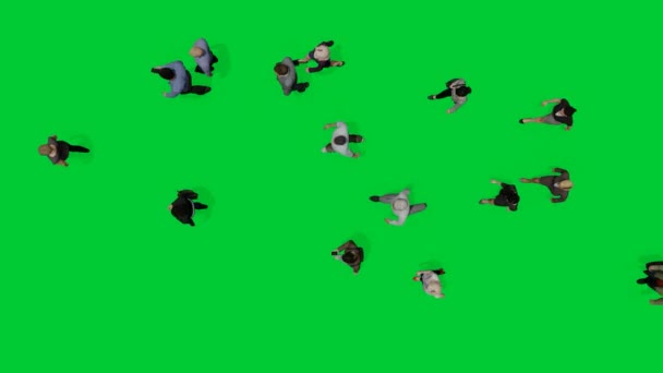 Grupa Mężczyzna Kobieta Obywatele Spaceru Zielony Ekran Tła Spaceru Biura — Wideo stockowe
