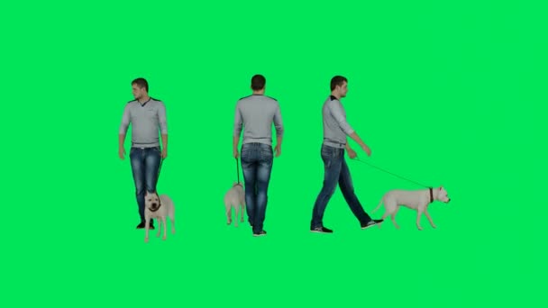 3D男性動物トレーナートレーニングと彼の犬の緑の画面の背景を歩いて 公園のマルチビューとクロマ4Kを分離 — ストック動画