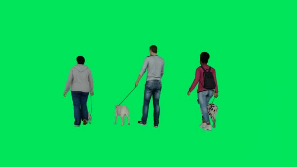 緑の画面の背景に犬と一緒に行使し クロマ4Kのバック角度で公園内に隔離され 歩くカップルの3D — ストック動画