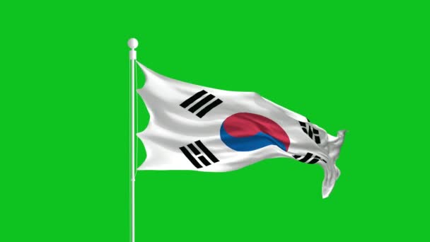 Bendera Korea Selatan Dalam Angin Green Screen 1080 — Stok Video