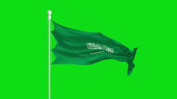 Bandera Arabia Saudita Levanta Viento — Vídeo de stock