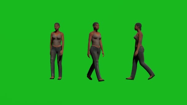 Negro Mujer Caminar Hablar Verde Pantalla Personas Render Animación Completo — Vídeos de Stock