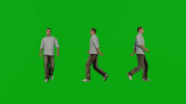 Homme Marcher Vert Écran Personnes Rendre Animation Pleine 1080 — Video