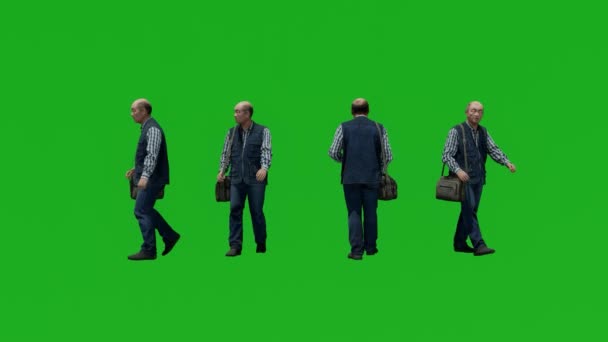 Employee Man Walk Talk Green Screen People Chroma Key Background — Stock Video