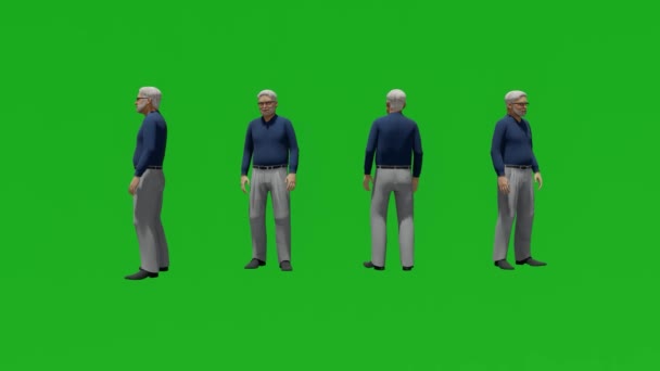 3D商务人士站点绿屏人色键背景3D渲染动画4K四种不同的视图 — 图库视频影像
