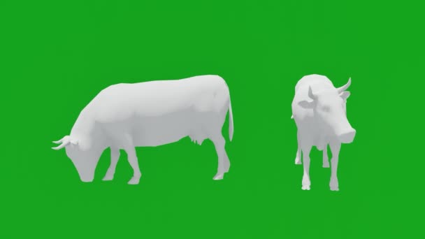 2つの異なるビューを持つフィールドの緑の画面を食べる色や材料のない3D牛 — ストック動画