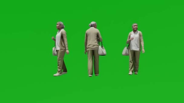 Old Asia Woman Walk Talk People Isolated Green Screen — Stock Video