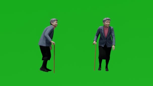 3D绿色屏风的亚洲老妇人 带着两种不同的景色在公园里散步 — 图库视频影像