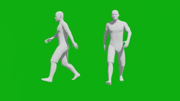 Hombre Deportivo Pantalla Verde Caminando Por Gimnasio Con Dos Vistas — Vídeos de Stock