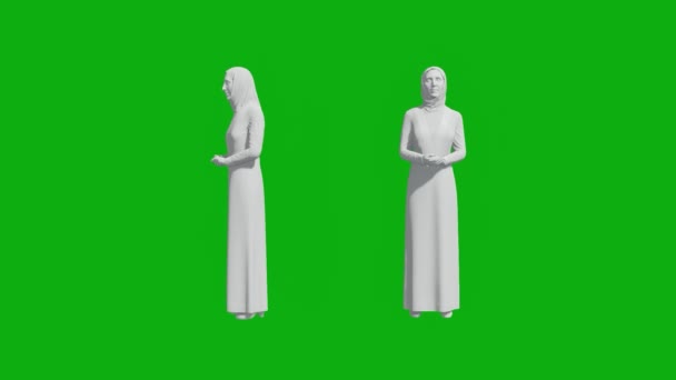 3D阿拉伯女商人认为绿色屏幕有两种不同的观点没有颜色和材料3D阿拉伯女商人认为绿色屏幕有两种不同的观点没有颜色和材料 — 图库视频影像