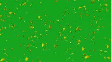 Düşen yapraklar ağaçlardan dökülen yeşil ekran beyaz ve siyah sonbahar yapraklar düşen yeşil ekran beyaz ve ağaçlardan siyah sonbahar