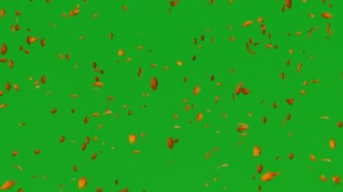 Düşen yapraklar ağaçlardan dökülen yeşil ekran beyaz ve siyah sonbahar yapraklar düşen yeşil ekran beyaz ve ağaçlardan siyah sonbahar