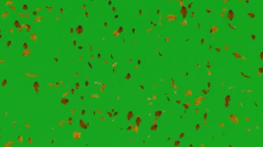 Sonbaharda ağaçlardan düşen yapraklar yeşil ekran beyaz ve siyah sonbaharda ağaçlardan düşen yapraklar beyaz ve siyah.