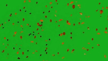 Düşen yapraklar ağaçlardan dökülen yeşil ekran beyaz ve siyah sonbahar yapraklar düşen yeşil ekran beyaz ve ağaçlardan siyah sonbahar