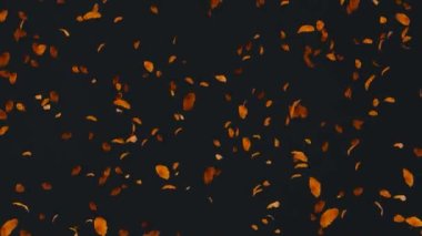 Düşen yapraklar ağaçlardan dökülen yeşil ekran beyaz ve siyah sonbahar yapraklar düşen yeşil ekran beyaz ve ağaçlardan siyah sonbahar