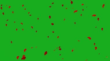 Düşen yapraklar ağaçlardan dökülen yeşil ekran beyaz ve siyah sonbahar yapraklar düşen yeşil ekran beyaz ve ağaçlardan siyah sonbahar