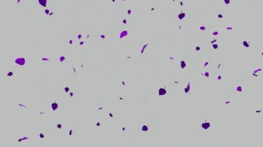 Düşen yapraklar ağaçlardan dökülen yeşil ekran beyaz ve siyah sonbahar yapraklar düşen yeşil ekran beyaz ve ağaçlardan siyah sonbahar