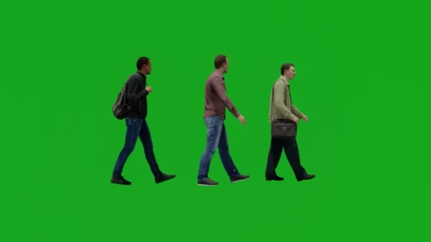 Три Различных Американских Путешественников Зеленый Экран Ходить Рынку — стоковое видео