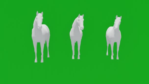 3Dアニメーション3つの白い競馬馬緑の画面の背景に移動し 色のフロントビュークロマキーなしで食べる — ストック動画