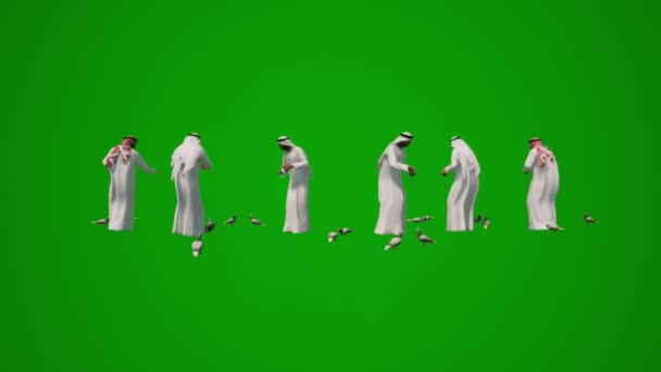 Vários Homens Árabes Tela Verde Alimentando Animação Pássaros — Vídeo de Stock