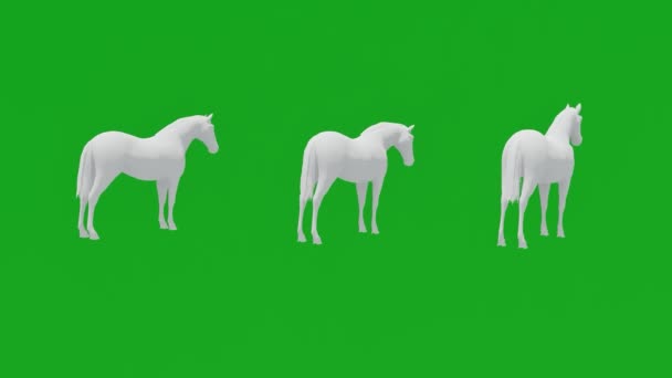 Анимации Три Белых Лошадей Зеленый Экран Фон Перемещения Едят Цвета — стоковое видео