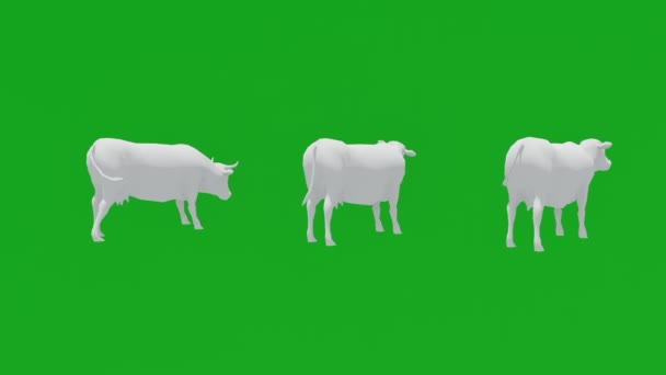 3Dアニメーション3つの白い牛乳牛緑の画面の背景に移動し サイドビューから色なしで食べる Chromakey — ストック動画
