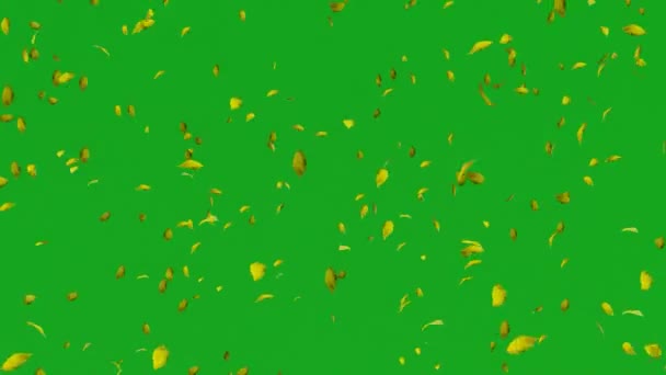 Fallande Löv Grön Skärm Vit Och Svart Höst Från Träd — Stockvideo