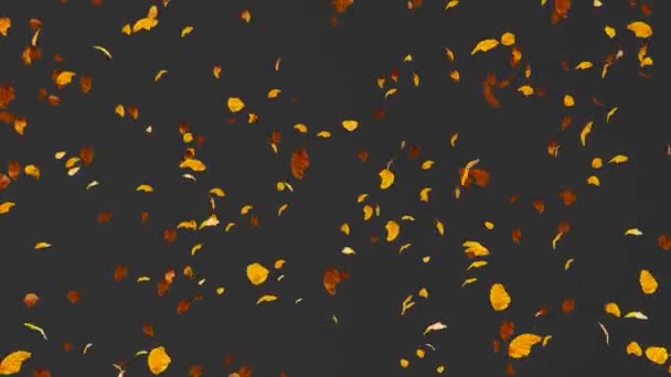 Fallende Blätter Grüner Bildschirm Weißer Und Schwarzer Herbst Von Bäumen — Stockvideo
