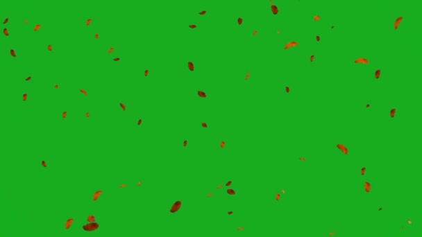 Листя Падають Зелений Екран Біло Чорна Осінь Дерев Листя Падають — стокове відео