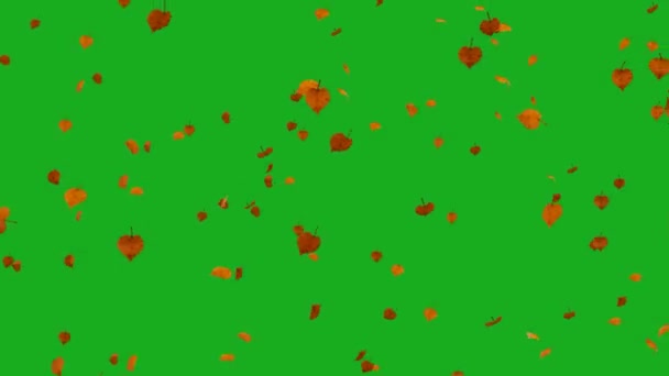 Листя Падають Зелений Екран Біло Чорна Осінь Дерев Листя Падають — стокове відео