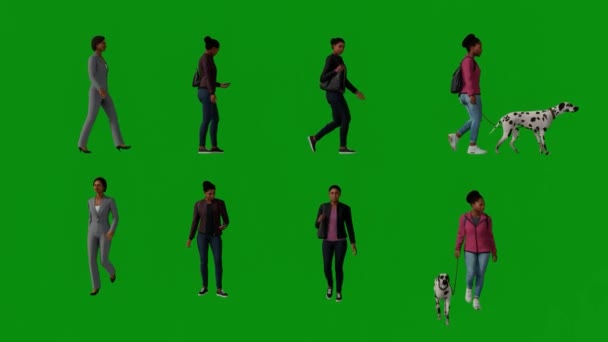 3D几个不同的非洲医生妇女用手提包和狗的多角度彩色4K绿色屏幕行走 交谈和购物 — 图库视频影像