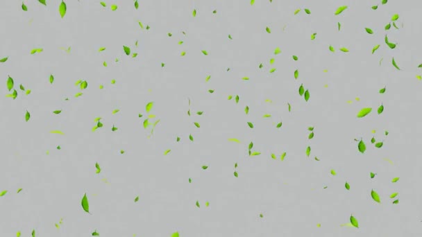 Folhas Caindo Tela Verde Outono Branco Preto Árvores Folhas Caindo — Vídeo de Stock